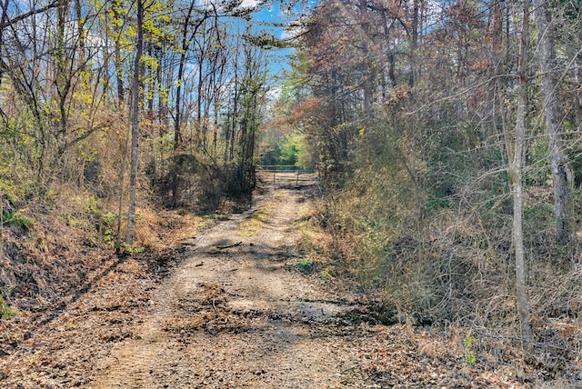 view of road featuring a wooded view