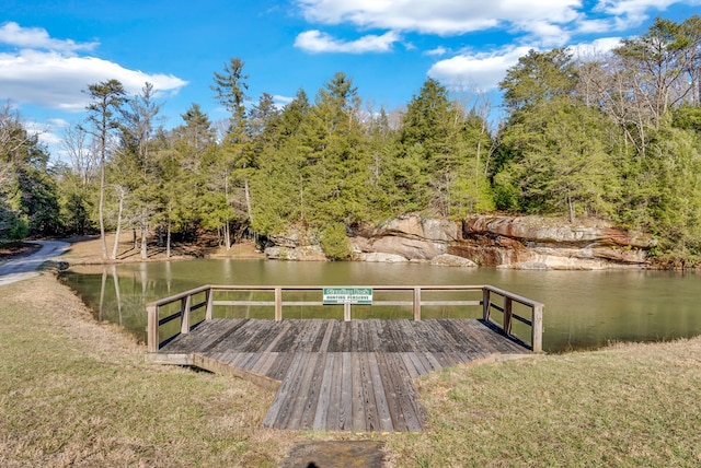 view of dock with a water view