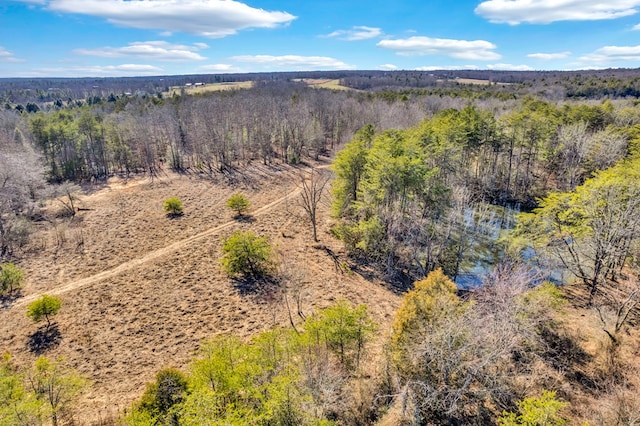 bird's eye view with a view of trees