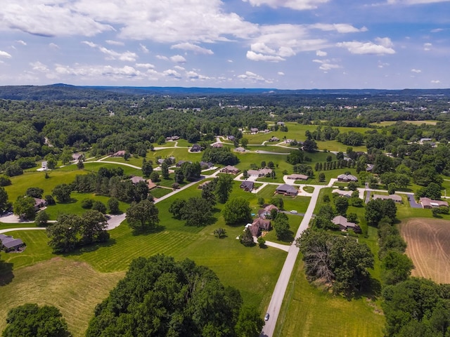 bird's eye view