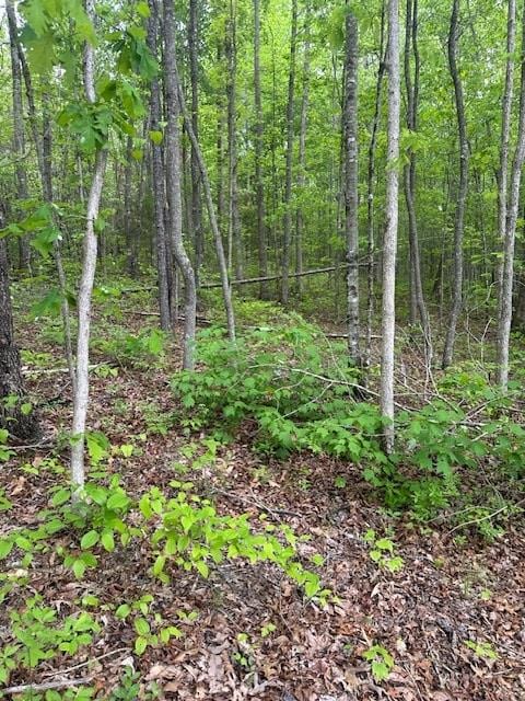 Listing photo 3 for LOT116 Big Piney Loop, Wilder TN 38589