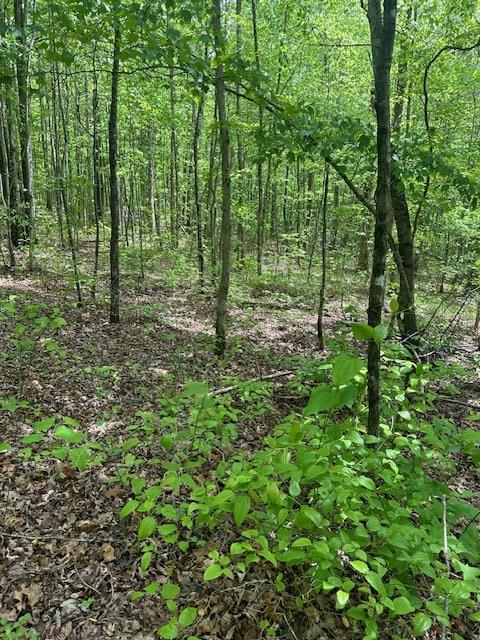 Listing photo 2 for LOT116 Big Piney Loop, Wilder TN 38589