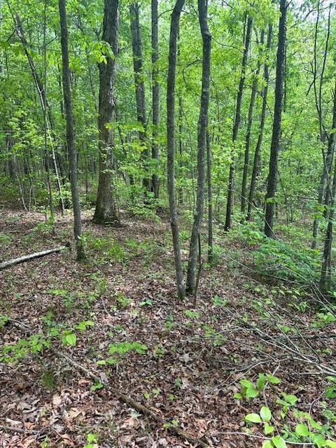 LOT116 Big Piney Loop, Wilder TN, 38589 land for sale