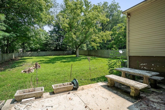 view of yard featuring a fenced backyard and a patio