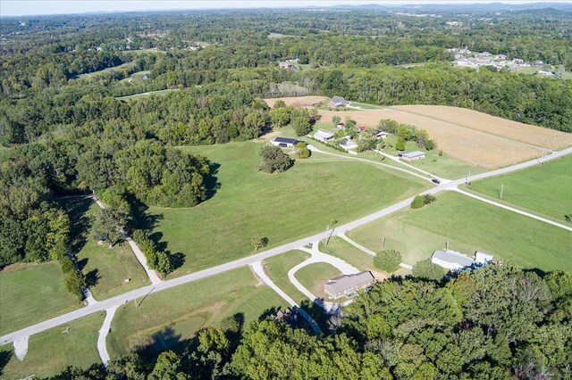 bird's eye view with a view of trees