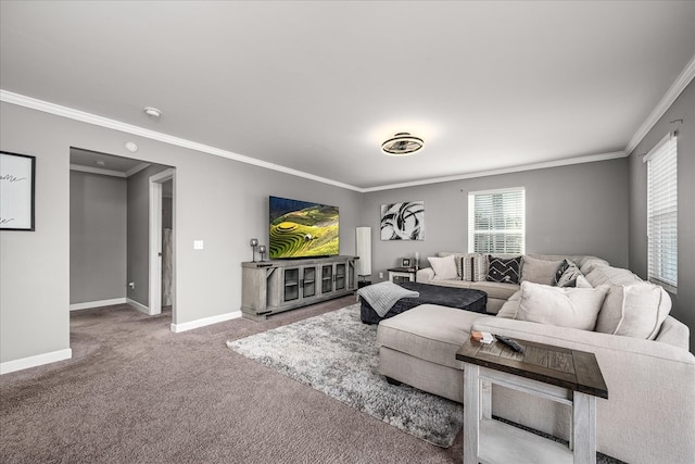 carpeted living area featuring crown molding and baseboards