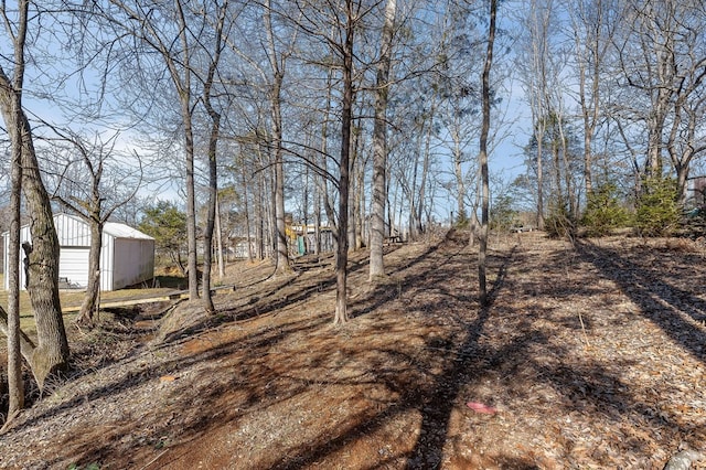 view of yard with a pole building and an outbuilding