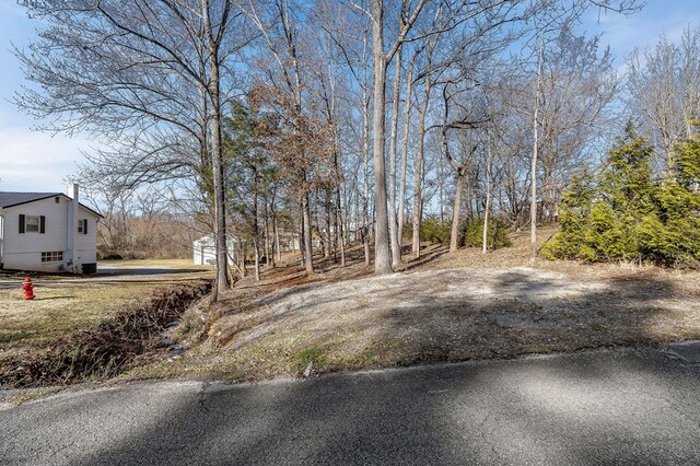 view of yard with driveway