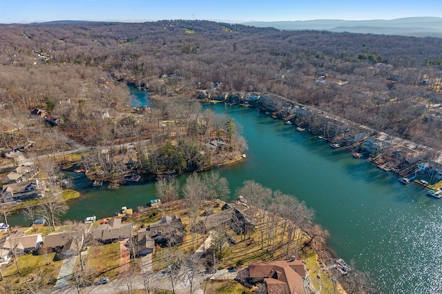 bird's eye view featuring a view of trees and a water and mountain view