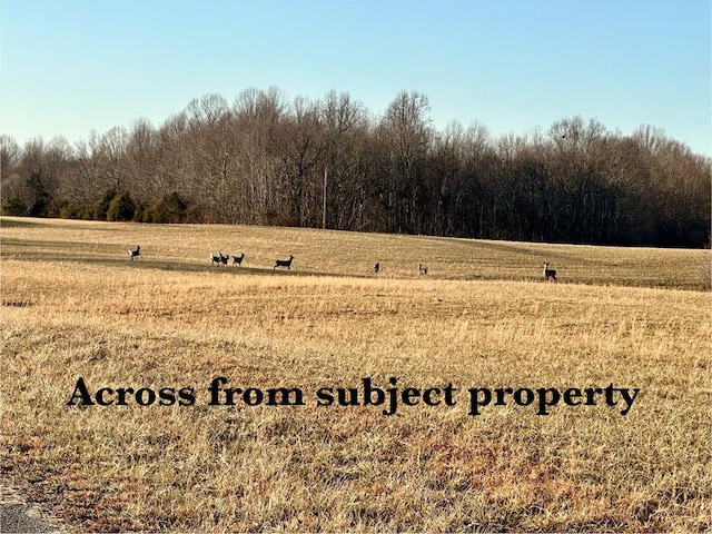 Listing photo 3 for 97.88AC Hensley Cemetery Ln, Gainesboro TN 38562