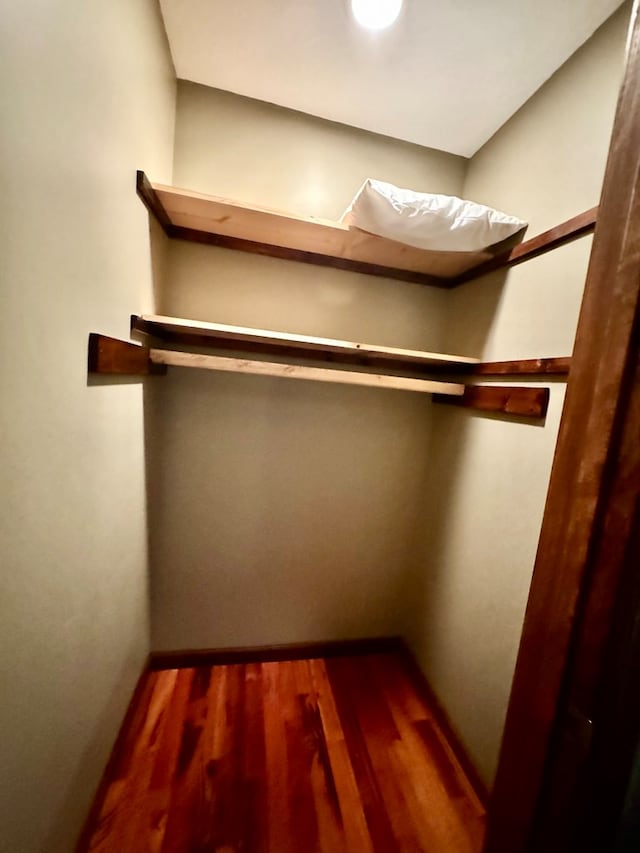 walk in closet featuring wood finished floors