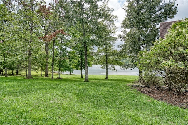 view of yard with a water view