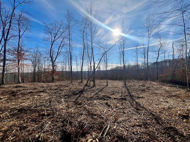 Listing photo 3 for 6.9AC Tanyard Ln, Monroe TN 38573