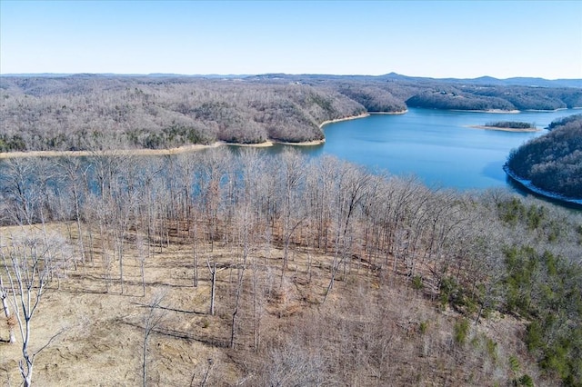 6.9AC Tanyard Ln, Monroe TN, 38573 land for sale