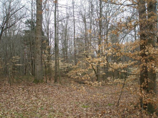 LOT14 Stonewall Dr, Cookeville TN, 38506 land for sale