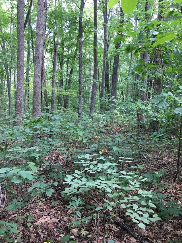 Listing photo 3 for LOT84 Buckeye Ln, Wilder TN 38589