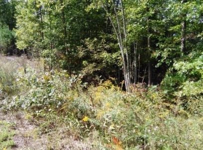 Listing photo 2 for LOT84 Buckeye Ln, Wilder TN 38589