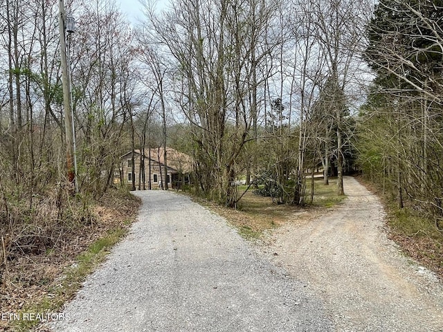 view of street with driveway