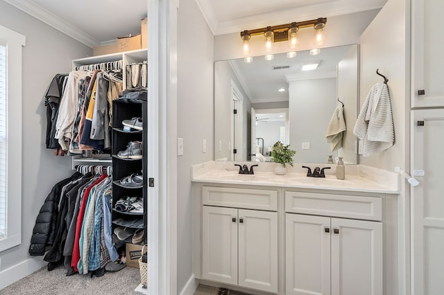 bathroom featuring double vanity, crown molding, a spacious closet, and a sink