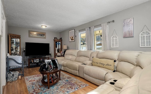 living area with a textured ceiling and wood finished floors