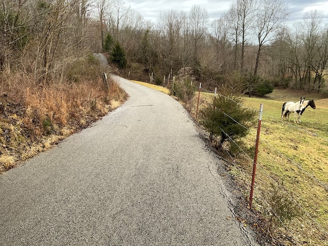 view of road