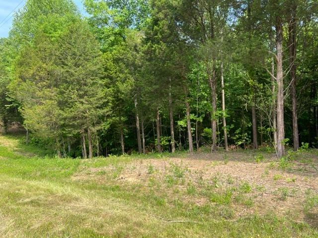 LOT3 Willow Grove Hwy, Allons TN, 38541 land for sale