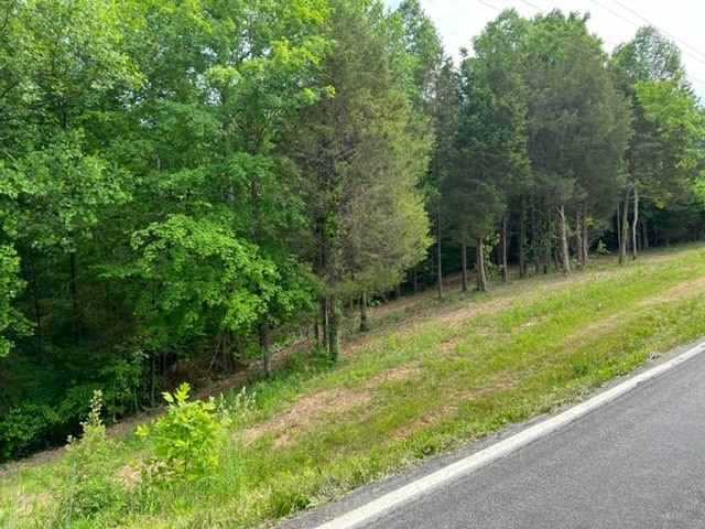 Listing photo 2 for LOT3 Willow Grove Hwy, Allons TN 38541