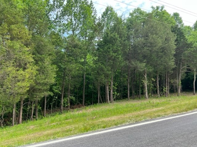 Listing photo 3 for LOT3 Willow Grove Hwy, Allons TN 38541