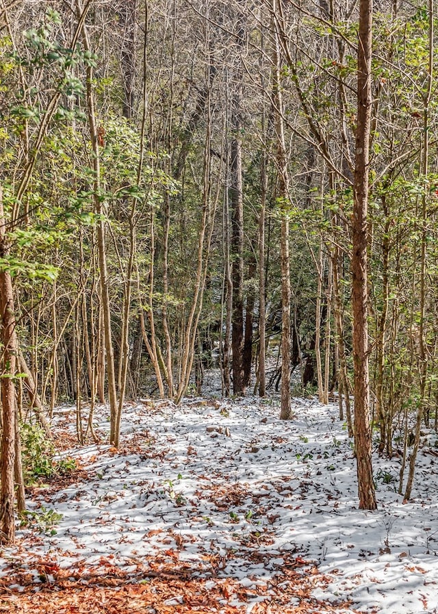 view of nature with a forest view