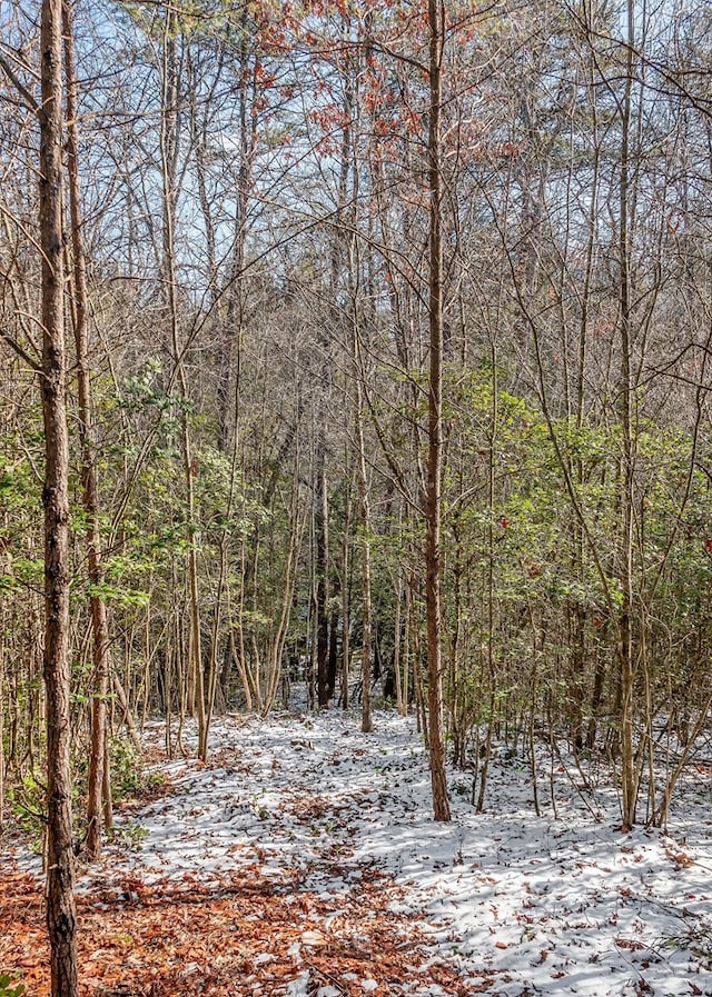 view of landscape with a forest view