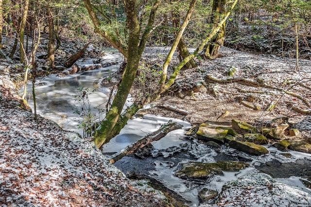 view of local wilderness