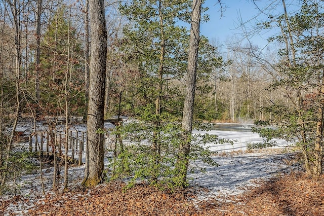 water view featuring a wooded view