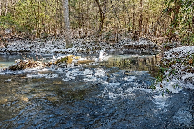 view of local wilderness with a forest view