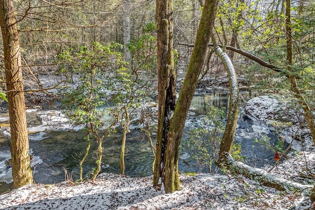 view of local wilderness featuring a forest view