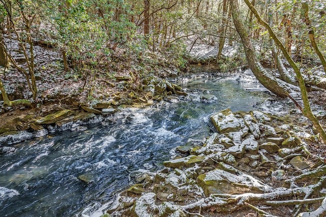 view of local wilderness