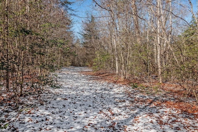 view of street with a wooded view