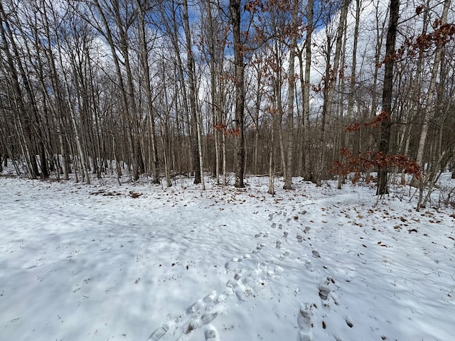 Listing photo 3 for LOT26 Little Pl, Monterey TN 38574