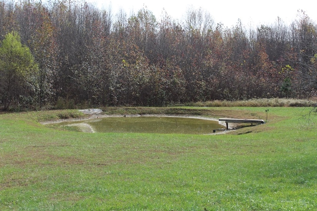 view of home's community featuring a water view and a yard