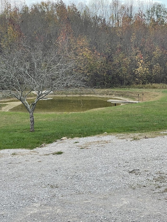 view of property's community featuring a yard