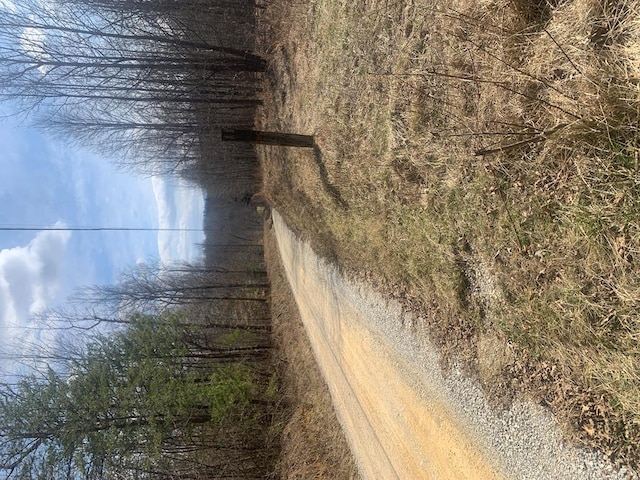 100 C E Todd Rd, Sunbright TN, 37852 land for sale