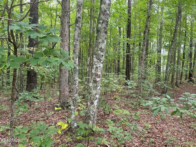 LOT11 Falls Rd, Monterey TN, 38574 land for sale