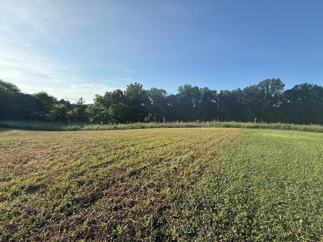 4747 Window Cliff Rd, Baxter, TN 38544 - photo 2