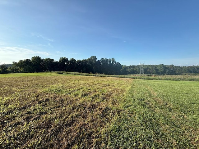 4747 Window Cliff Rd, Baxter, TN 38544 - photo 5