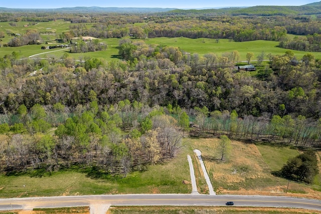 1036 Hidden River Rd, Rock Island, TN 38581 - view of property location with a forest