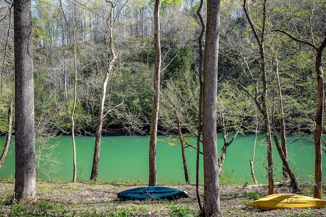 1036 Hidden River Rd, Rock Island, TN 38581 - water view