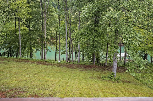 1036 Hidden River Rd, Rock Island, TN 38581 - view of grassy yard