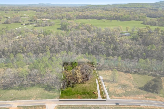 1036 Hidden River Rd, Rock Island, TN 38581 - aerial view of property's location featuring property parcel outlined and a forest