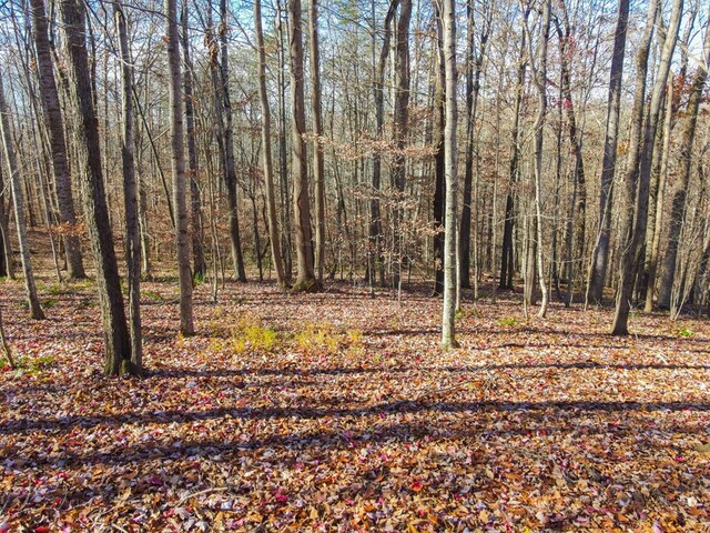 5612 Emerald Rd, Cookeville, TN 38501 - photo 66
