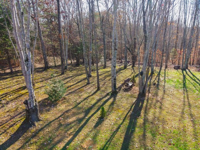 5612 Emerald Rd, Cookeville, TN 38501 - photo 62