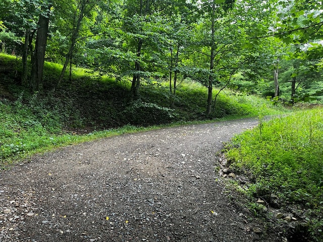 292 Deer Creek Xing, Mountain City, TN 37683 - photo 20